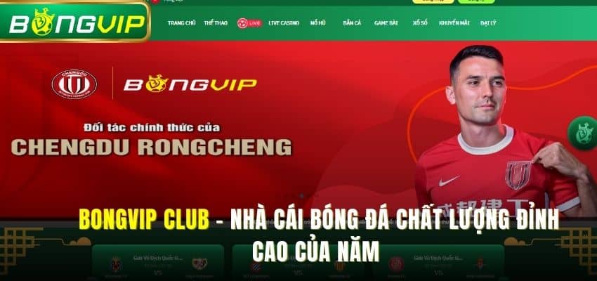Bongvip Club – Nhà cái bóng đá chất lượng đỉnh cao của năm