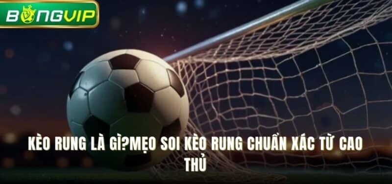 Kèo rung là gì?Mẹo soi kèo rung chuẩn xác từ cao thủ
