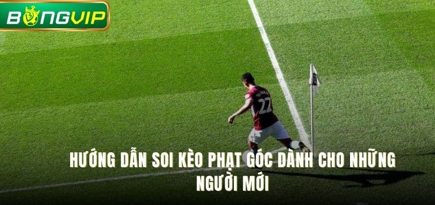 Hướng Dẫn Soi Kèo Phạt Góc Dành Cho Những Người Mới