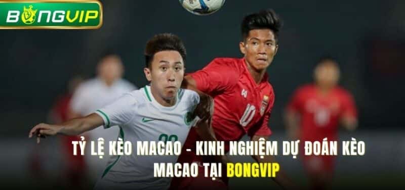 Tỷ Lệ Kèo Macao - Kinh Nghiệm Dự Đoán Kèo Macao Tại Bóng vip