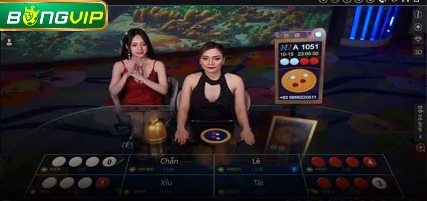Cách tính tiền thưởng Xóc Đĩa dành cho tân binh nghiên cứu