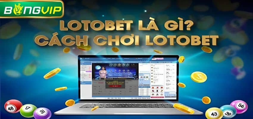 Người chơi có thể lựa chọn đa dạng các con số yêu thích sau đó đặt cược