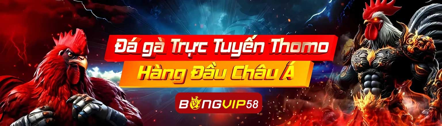 Bongvip | BÓNG VIP tặng 3.888.000 VNĐ cho tân thủ nạp đầu