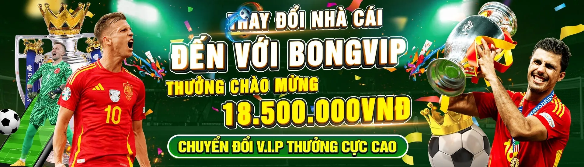 banner-bongvip