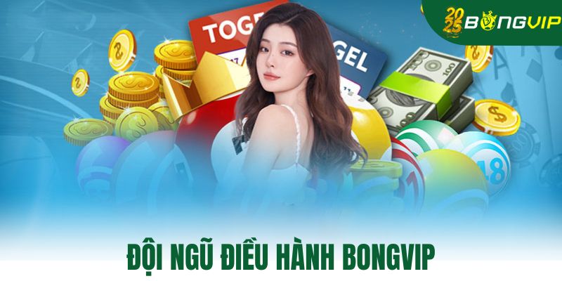Đội ngũ điều hành bongvip