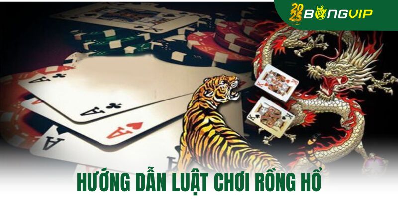 Hướng dẫn luật chơi rồng hổ