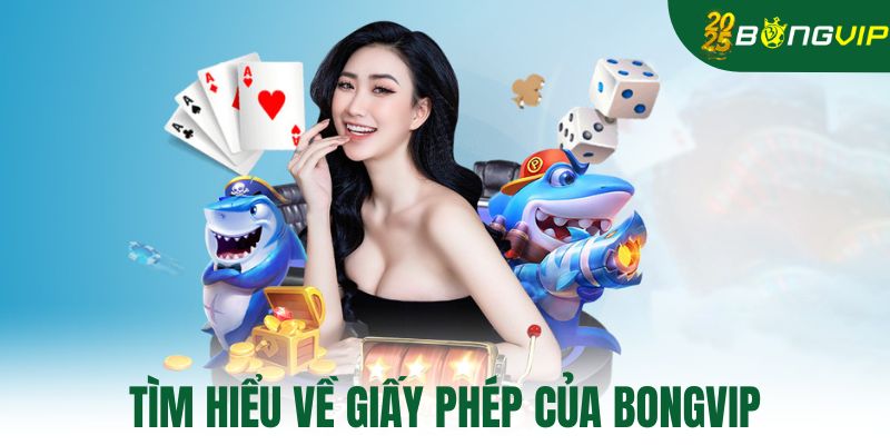 Tìm hiểu về giấy phép của Bongvip