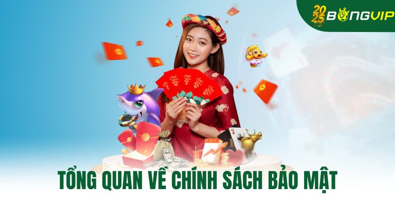 Tổng quan về chính sách bảo mật