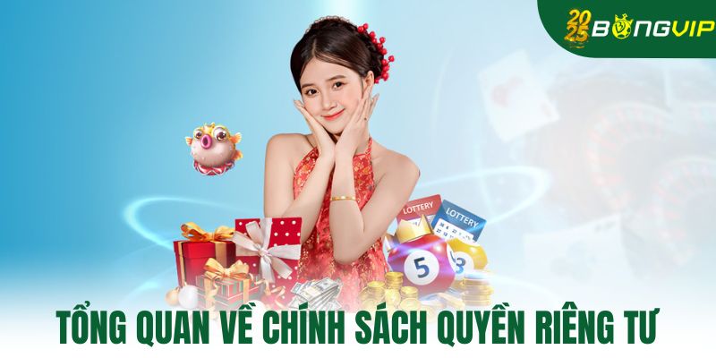 Tổng quan về chính sách quyền riêng tư