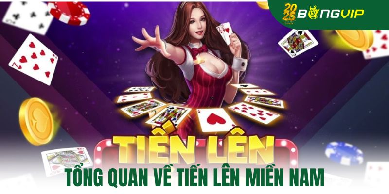 Tổng quan về tiến lên miền nam